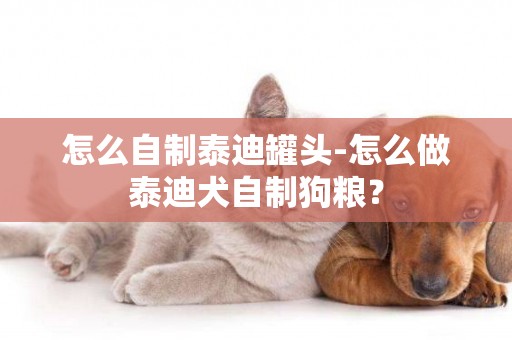 怎么自制泰迪罐頭-怎么做泰迪犬自制狗糧？