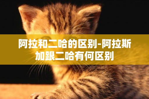阿拉和二哈的區別-阿拉斯加跟二哈有何區別