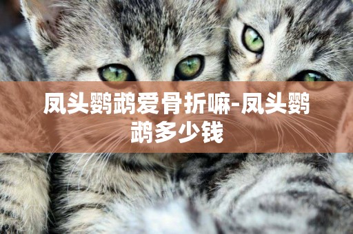 鳳頭鸚鵡愛骨折嘛-鳳頭鸚鵡多少錢