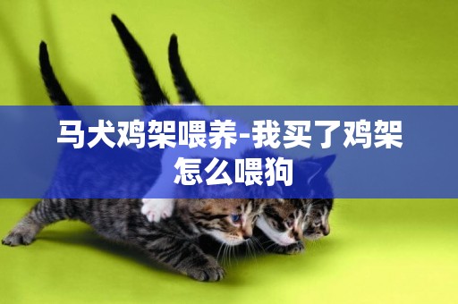馬犬雞架喂養-我買了雞架 怎么喂狗