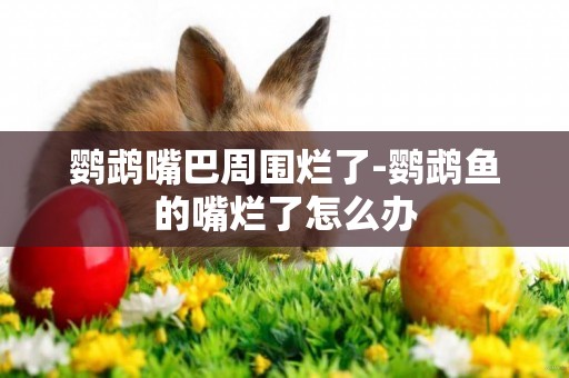 鸚鵡嘴巴周圍爛了-鸚鵡魚的嘴爛了怎么辦