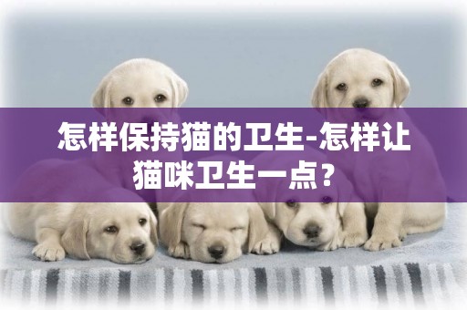 怎樣保持貓的衛生-怎樣讓貓咪衛生一點？