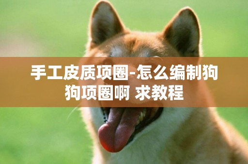 手工皮質項圈-怎么編制狗狗項圈啊 求教程