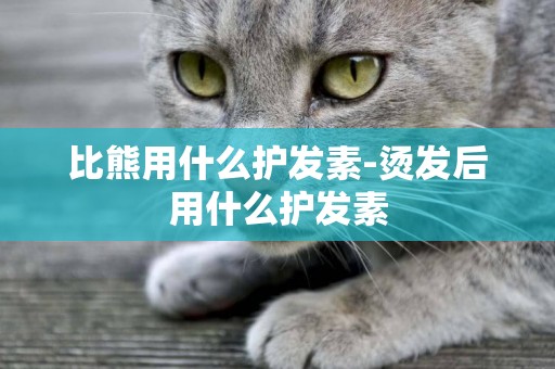 比熊用什么護發素-燙發后用什么護發素