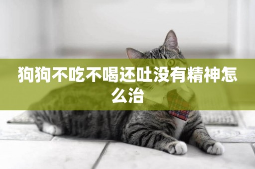 狗狗不吃不喝還吐沒有精神怎么治