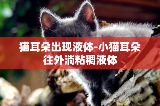 貓耳朵出現液體-小貓耳朵往外淌粘稠液體