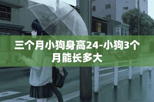三個月小狗身高24-小狗3個月能長多大