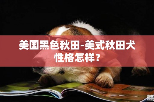 美國黑色秋田-美式秋田犬性格怎樣？