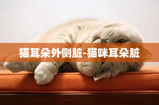 貓耳朵外側臟-貓咪耳朵臟
