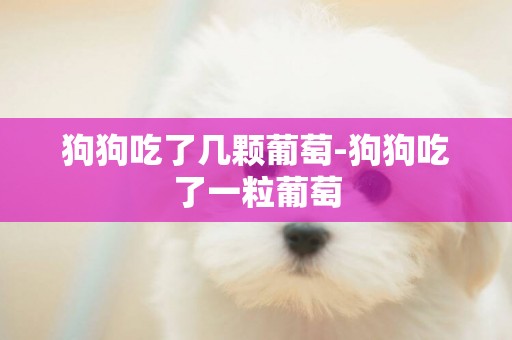 狗狗吃了幾顆葡萄-狗狗吃了一粒葡萄