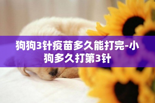 狗狗3針疫苗多久能打完-小狗多久打第3針