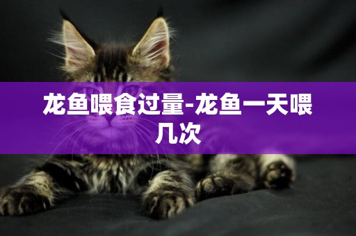 龍魚喂食過量-龍魚一天喂幾次