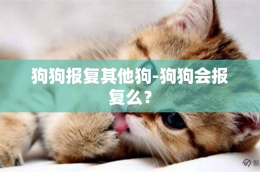 狗狗報復其他狗-狗狗會報復么？