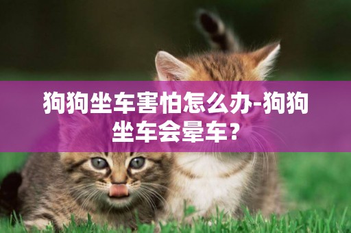 狗狗坐車害怕怎么辦-狗狗坐車會暈車？