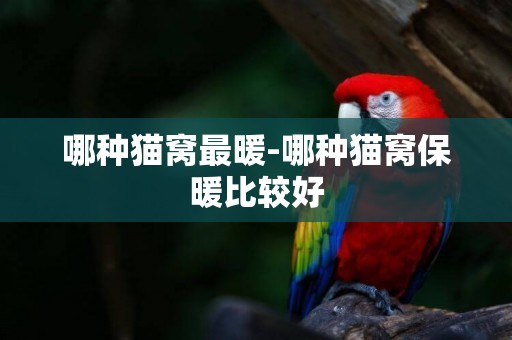 哪種貓窩最暖-哪種貓窩保暖比較好