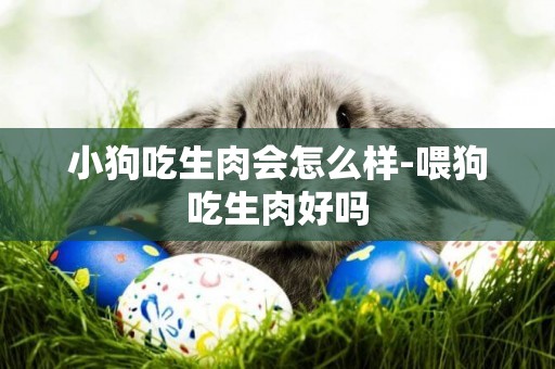 小狗吃生肉會怎么樣-喂狗吃生肉好嗎