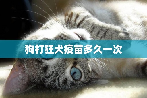 狗打狂犬疫苗多久一次