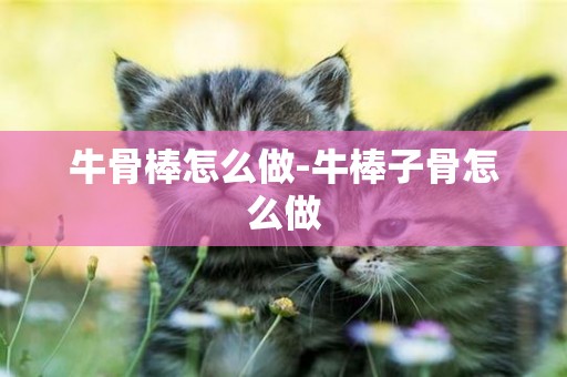 牛骨棒怎么做-牛棒子骨怎么做