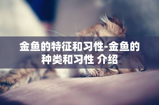 金魚的特征和習性-金魚的種類和習性 介紹