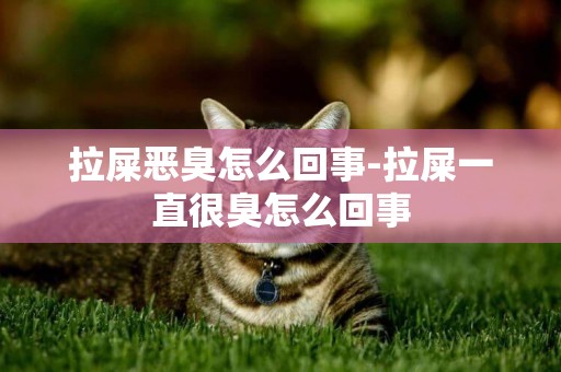 拉屎惡臭怎么回事-拉屎一直很臭怎么回事