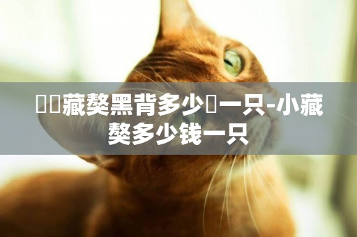 請問藏獒黑背多少錢一只-小藏獒多少錢一只