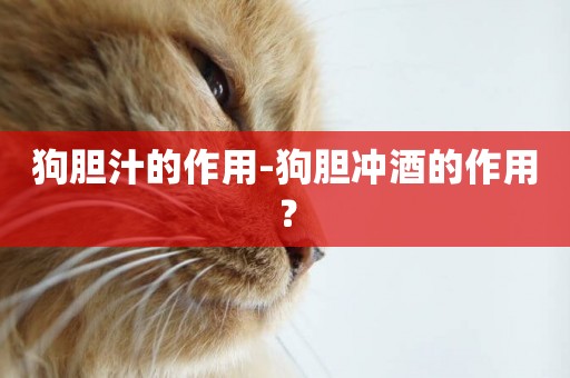 狗膽汁的作用-狗膽沖酒的作用？