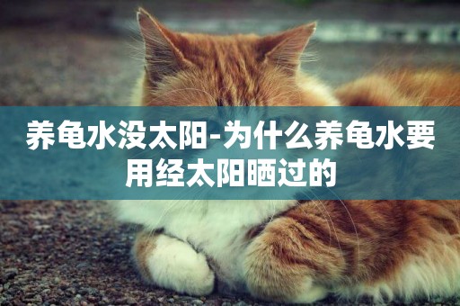 養龜水沒太陽-為什么養龜水要用經太陽曬過的