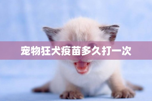 寵物狂犬疫苗多久打一次