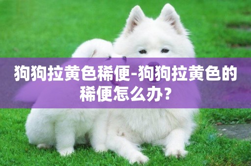 狗狗拉黃色稀便-狗狗拉黃色的稀便怎么辦？
