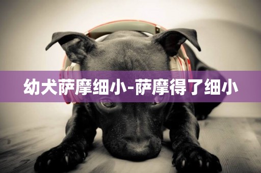 幼犬薩摩細小-薩摩得了細小