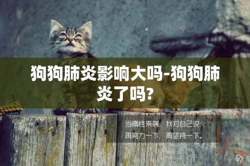 狗狗肺炎影響大嗎-狗狗肺炎了嗎?