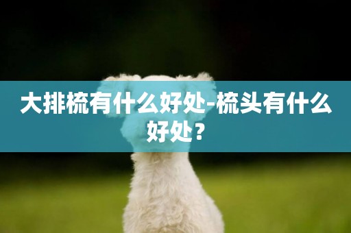 大排梳有什么好處-梳頭有什么好處？