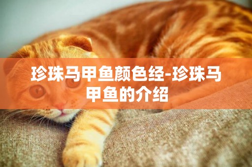 珍珠馬甲魚顏色經-珍珠馬甲魚的介紹