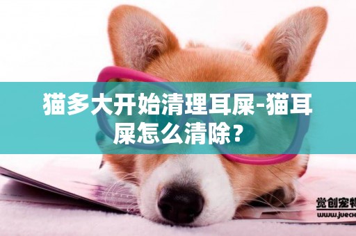 貓多大開始清理耳屎-貓耳屎怎么清除？