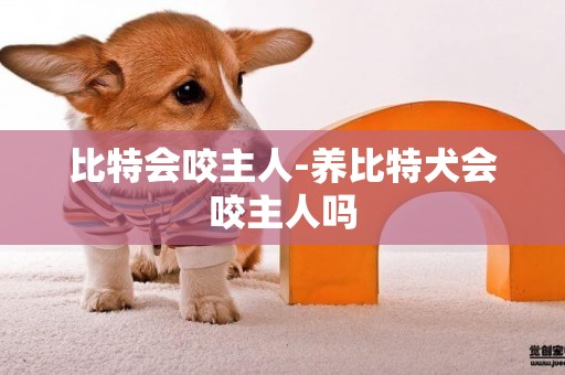 比特會咬主人-養比特犬會咬主人嗎