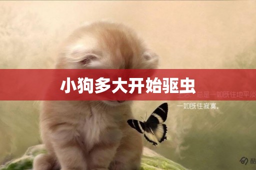 小狗多大開始驅蟲