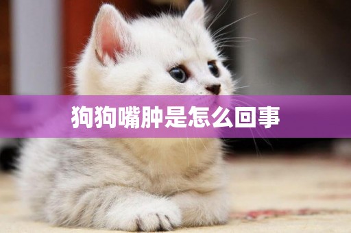 狗狗嘴腫是怎么回事