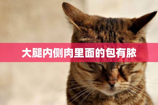 大腿內側肉里面的包有膿