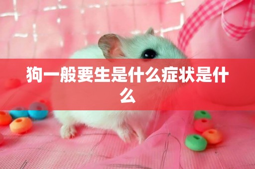 狗一般要生是什么癥狀是什么