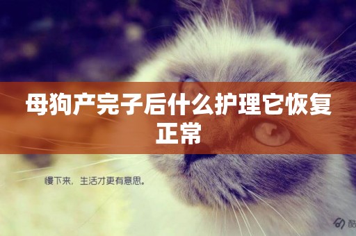 母狗產完子后什么護理它恢復正常