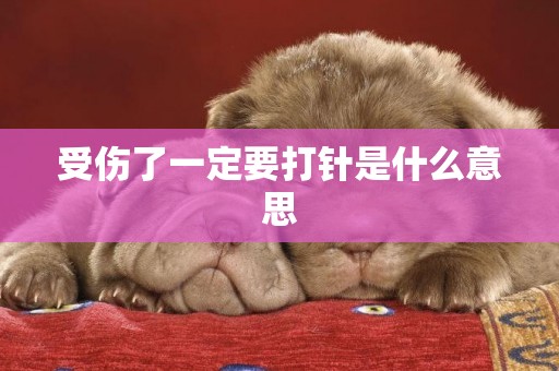 受傷了一定要打針是什么意思