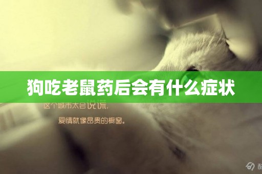 狗吃老鼠藥后會有什么癥狀