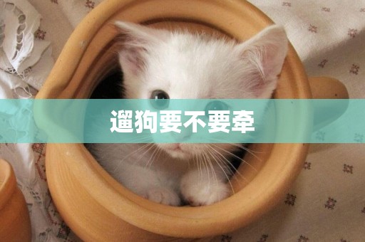 遛狗要不要牽