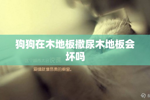 狗狗在木地板撒尿木地板會壞嗎