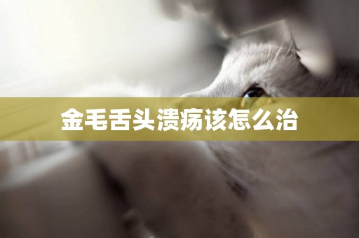 金毛舌頭潰瘍該怎么治