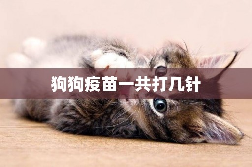 狗狗疫苗一共打幾針