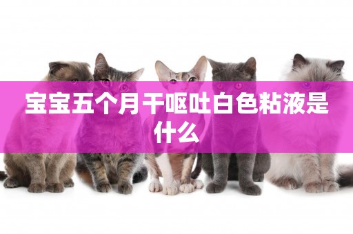 寶寶五個月干嘔吐白色粘液是什么