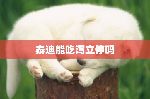 泰迪能吃瀉立停嗎