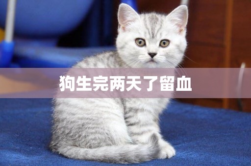 狗生完兩天了留血