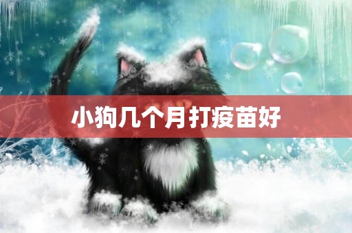 小狗幾個月打疫苗好